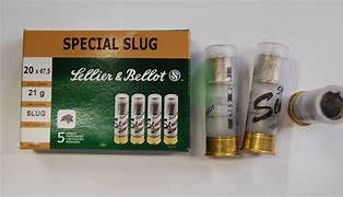 Náboj brokový SB Slug 20/67/21